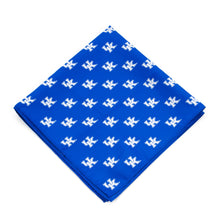 Load image into Gallery viewer, Kentucky Wildcats Kerchief / Pocket Square