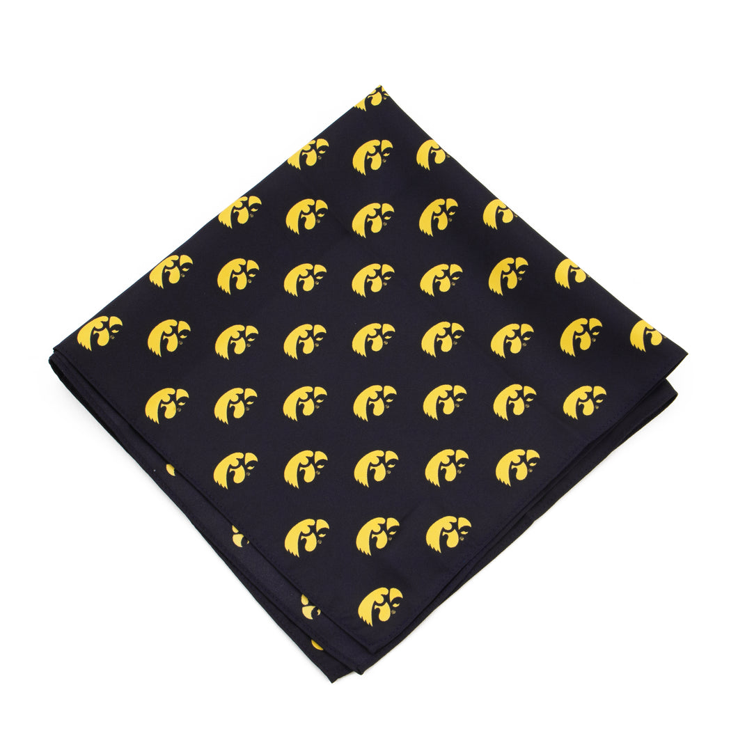 Iowa Hawkeyes Kerchief / Pocket Square