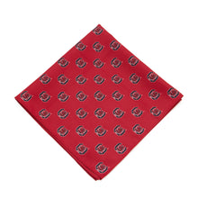 Load image into Gallery viewer, South Carolina Gamecocks Kerchief / Pocket Square
