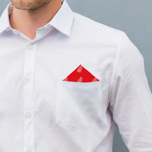 Load image into Gallery viewer, Red Wings Pocket Square