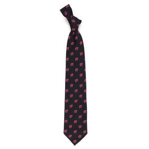 Wisconsin Badgers Echo Necktie